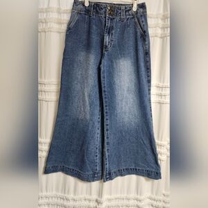 Extremely, Wide-Leg Pleated Blue Jeans. Size 5